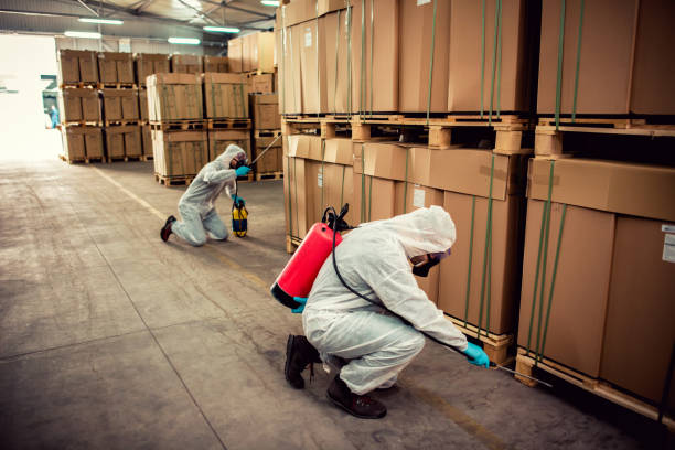 Best Commercial Pest Control Services  in Hilton Head Island, SC