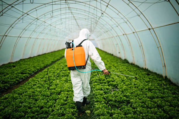 Professional Pest Control in Hilton Head Island, SC