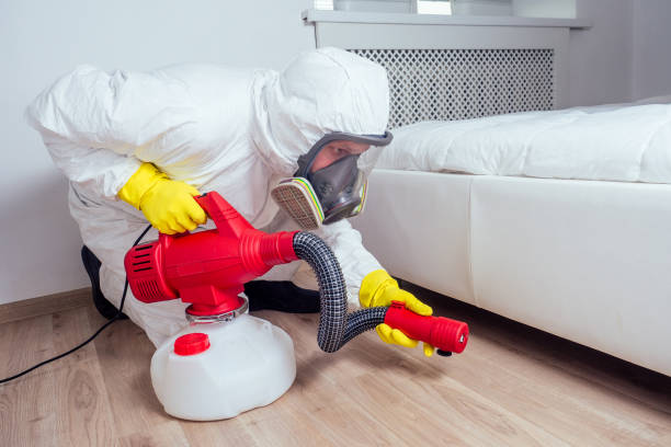 Best Pest Prevention Services  in Hilton Head Island, SC