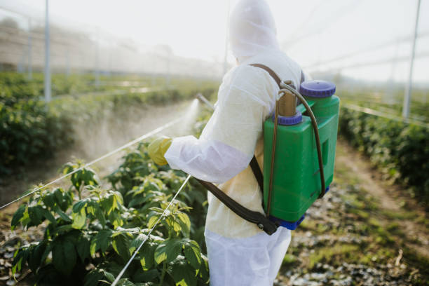 Best Residential Pest Control  in Hilton Head Island, SC